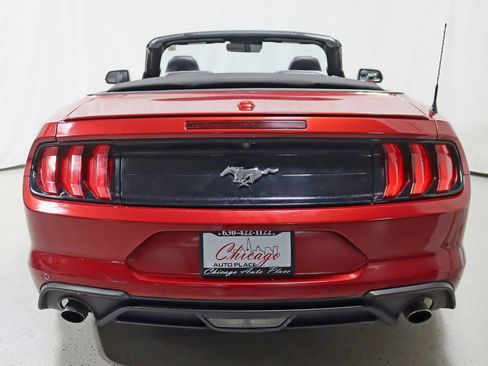 Used 2019 Ford Mustang Premium w/ Equipment Group 201A image 14