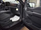 New 2025 Ford F150 XLT w/ Equipment Group 302A MID image 5
