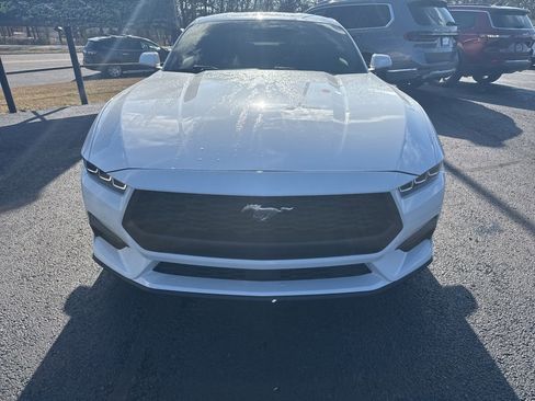 Used 2024 Ford Mustang EcoBoost image 2