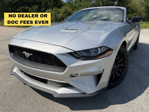 Used 2019 Ford Mustang Premium RWD image 1