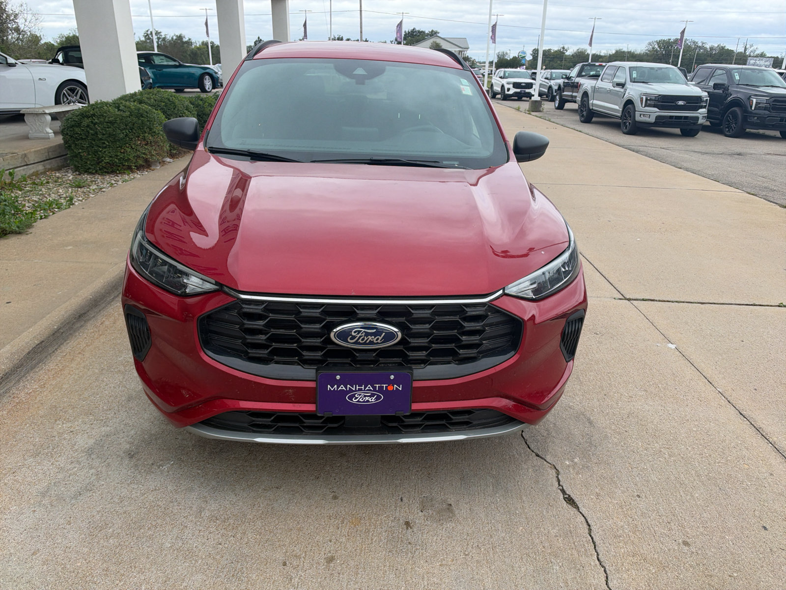 Used 2024 Ford Escape ST-Line AWD/4WD image 3