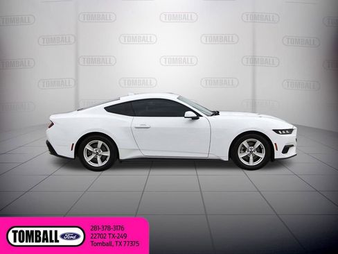 Used 2024 Ford Mustang EcoBoost image 8