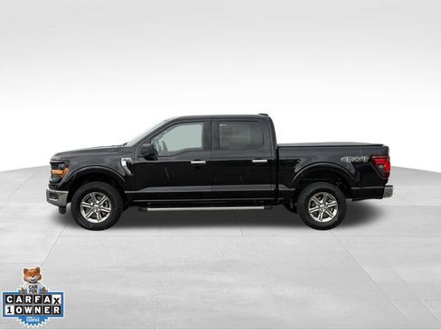 Used 2025 Ford F150 XLT w/ Equipment Group 301A Standard AWD/4WD image 3
