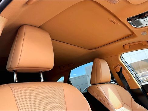Used 2025 Lexus NX 350h AWD w/ Cold Area Package image 14
