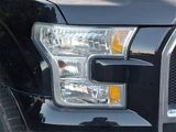 Used 2016 Ford F150 XLT image 3