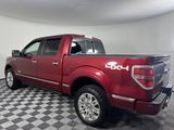 Used 2013 Ford F150 Platinum image 5