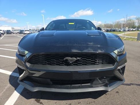 Used 2019 Ford Mustang Coupe w/ Equipment Group 101A image 3