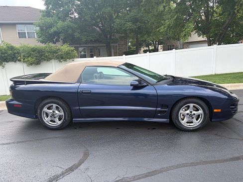 Used 2002 Pontiac Firebird Trans Am RWD image 6