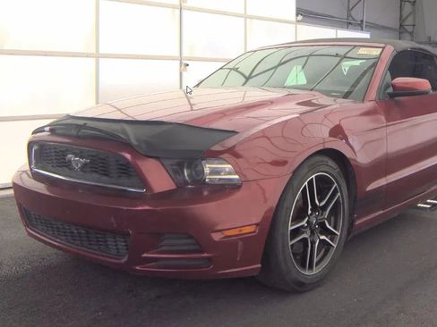 Used 2014 Ford Mustang Premium w/ Equipment Group 201A RWD image 1