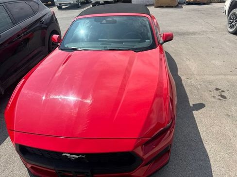 Used 2025 Ford Mustang Premium RWD image 19