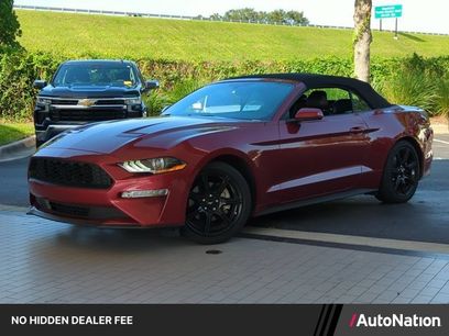 Used 2019 Ford Mustang Premium w/ Equipment Group 201A