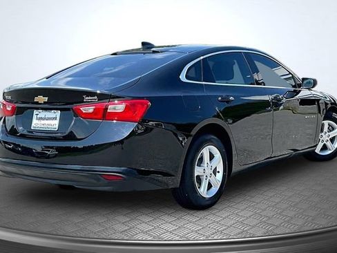Used 2021 Chevrolet Malibu LS w/ LPO, Convenience Package 2 FWD image 6