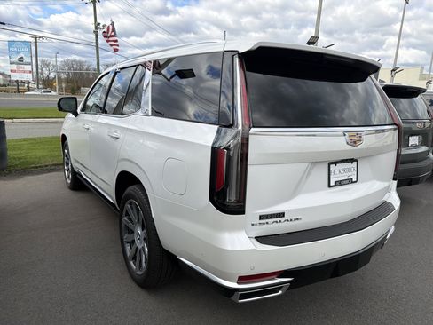 Used 2024 Cadillac Escalade Premium Luxury Platinum image 8