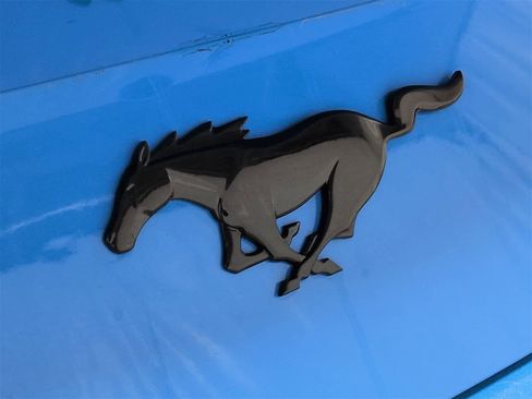 Used 2024 Ford Mustang Coupe w/ Mustang Nite Pony Package image 13