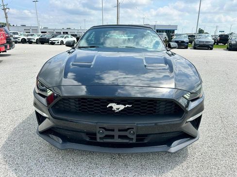 Used 2019 Ford Mustang Premium w/ Equipment Group 201A RWD image 8
