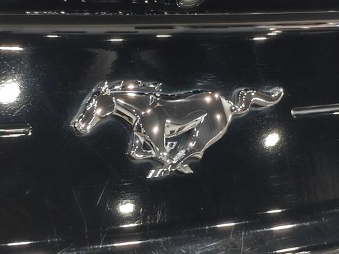 Used 2019 Ford Mustang Premium w/ Equipment Group 201A RWD image 63