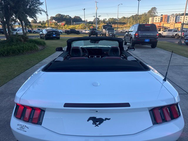 Used 2026 Ford Mustang Premium RWD image 17