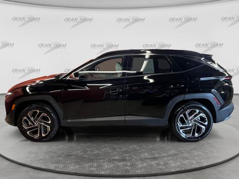 Used 2025 Hyundai Tucson Limited w/ Tow & Go Package AWD/4WD image 4