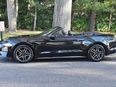 Used 2019 Ford Mustang Premium image 3