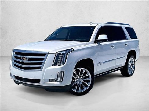 Used 2019 Cadillac Escalade Premium Luxury RWD image 1