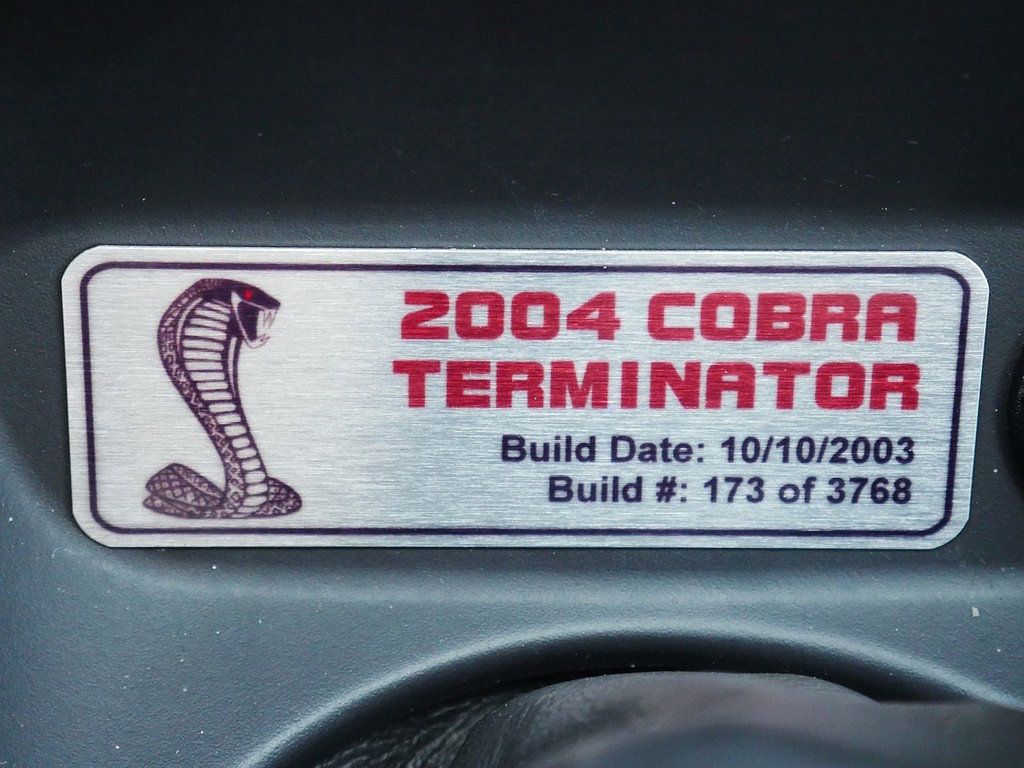 Used 2004 Ford Mustang Cobra RWD image 37
