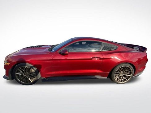 Used 2019 Ford Mustang Coupe w/ Equipment Group 101A image 5