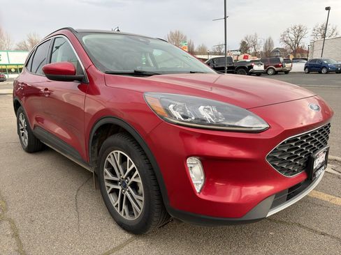Used 2022 Ford Escape SEL w/ Technology Package image 1