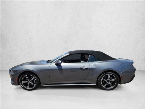 Used 2025 Ford Mustang Premium RWD image 8