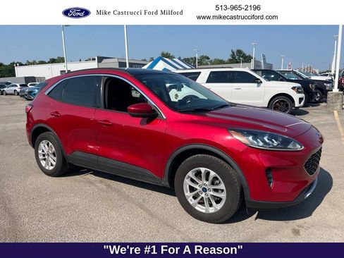 Used 2020 Ford Escape SE AWD/4WD image 3