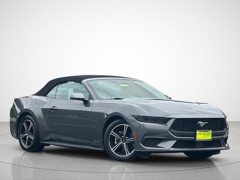 Used 2025 Ford Mustang Convertible RWD image 2