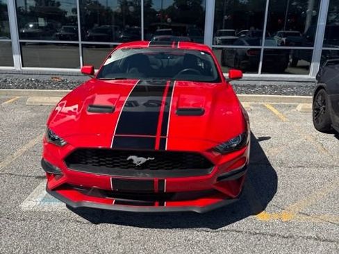 Used 2019 Ford Mustang Coupe w/ Ecoboost Performance Package RWD image 2