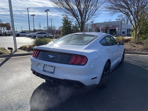 Used 2023 Ford Mustang EcoBoost w/ Equipment Group 101A image 8