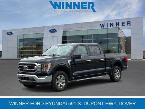 Used 2023 Ford F150 XLT w/ Equipment Group 302A High AWD/4WD image 1
