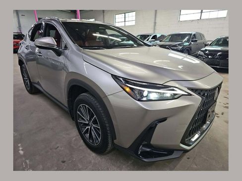 Used 2024 Lexus NX 350 AWD w/ Cold Area Package image 1