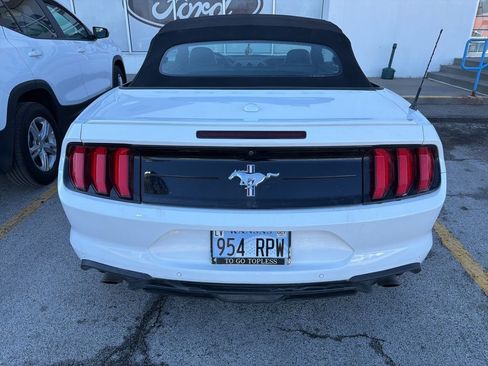Used 2020 Ford Mustang Premium w/ Equipment Group 201A image 3