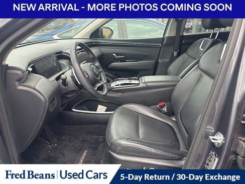 Used 2023 Hyundai Tucson Limited image 8