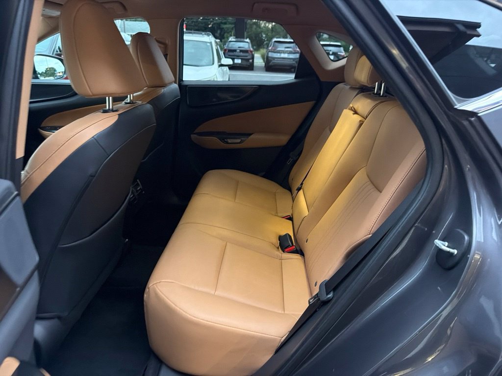 Used 2024 Lexus NX 250 AWD w/ Cold Area Package image 14