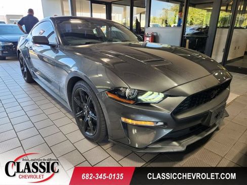 Used 2019 Ford Mustang Premium w/ Equipment Group 201A RWD image 1