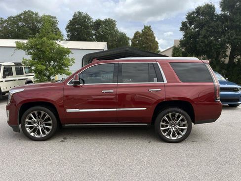 Used 2019 Cadillac Escalade Platinum RWD image 2