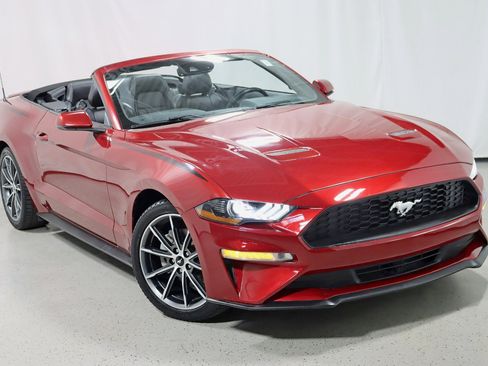 Used 2019 Ford Mustang Premium w/ Equipment Group 201A image 7