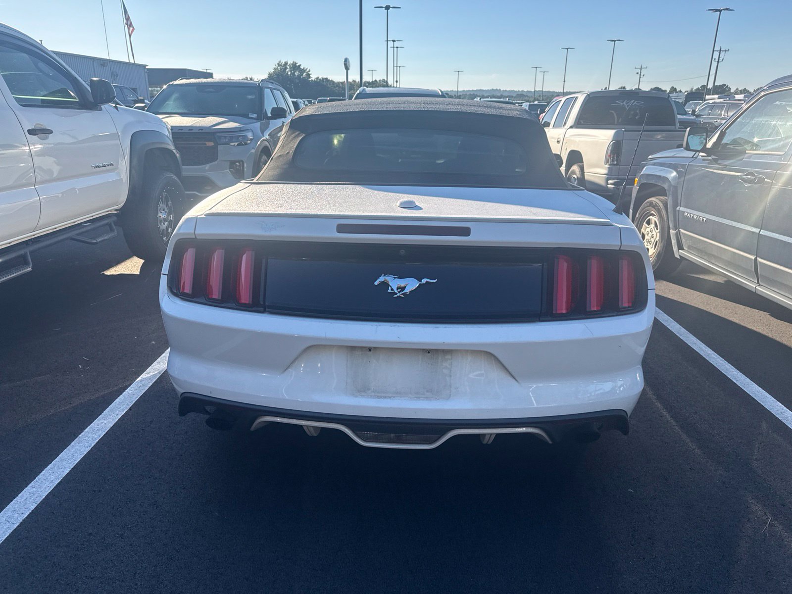 Used 2016 Ford Mustang Premium RWD image 5