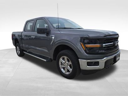 Used 2025 Ford F150 XLT w/ Equipment Group 301A Standard