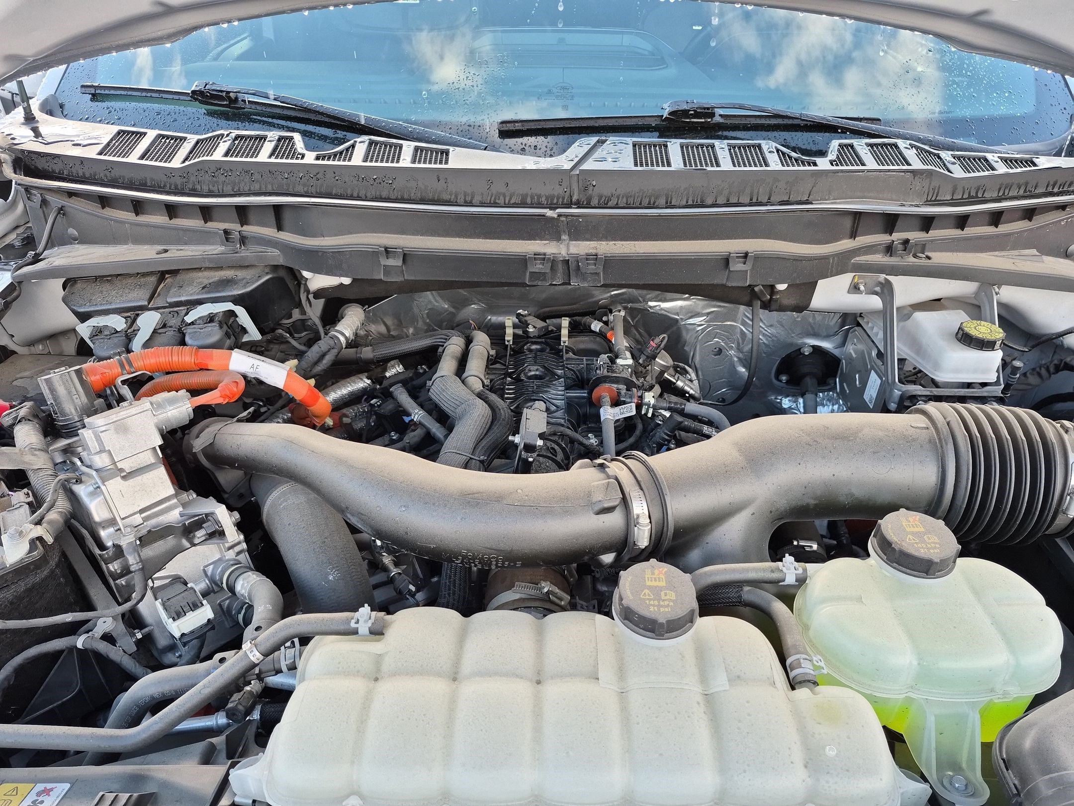 Used 2025 Ford F150 Platinum AWD/4WD image 33
