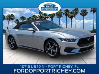 Certified 2024 Ford Mustang Premium RWD video 1