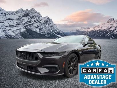 Used 2024 Ford Mustang Coupe