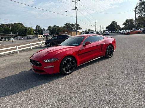 Used 2019 Ford Mustang GT Premium w/ California Special Package RWD image 4