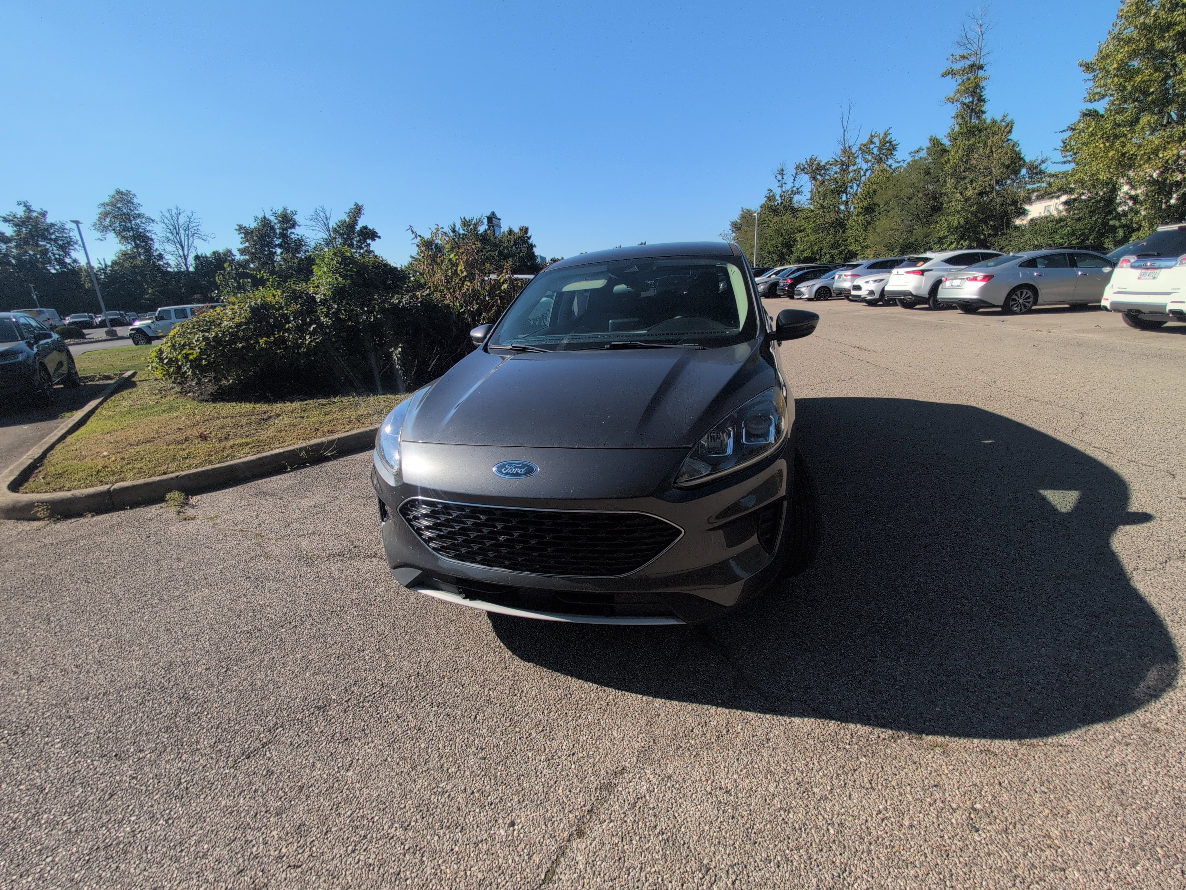 Used 2020 Ford Escape SE AWD/4WD image 13