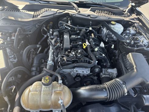Used 2019 Ford Mustang Premium RWD image 33