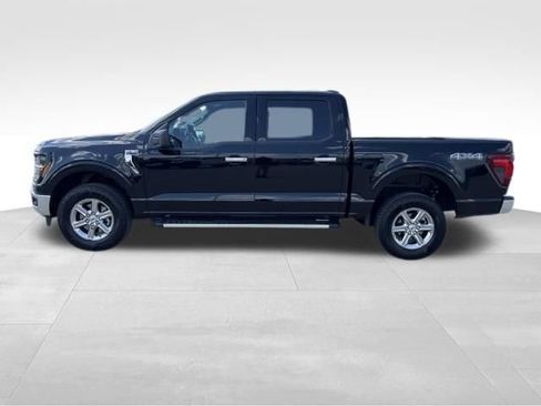 Used 2025 Ford F150 XLT w/ Equipment Group 301A Standard AWD/4WD image 2