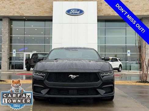 Used 2024 Ford Mustang Premium image 2